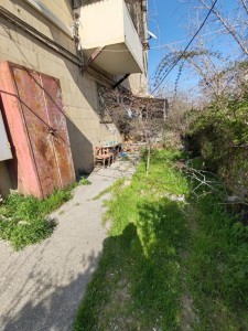 image 377936
