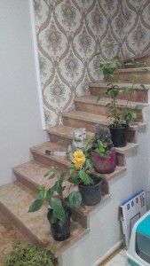 image 377940