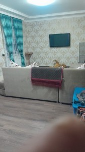 image 377940