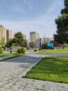 image 377941