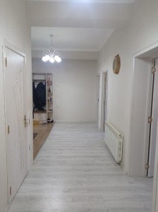 image 377952