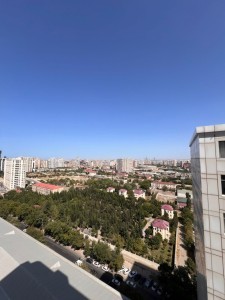 image 377954