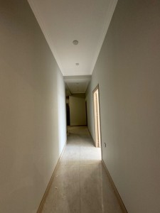 image 377961