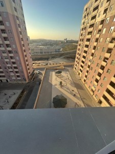 image 377977