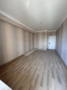 image 377981