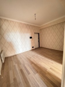 image 377981