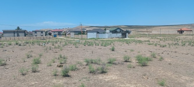 image 377986