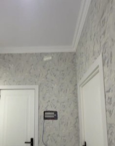 image 377987