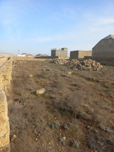 image 377988