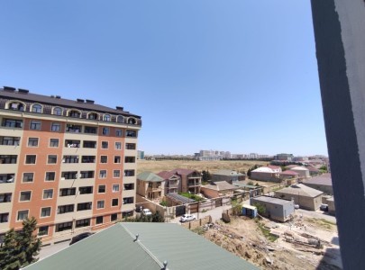 image 377991