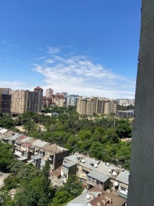 image 377992