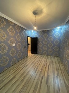 image 378003