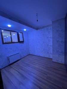 image 378003
