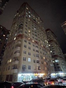 image 378003