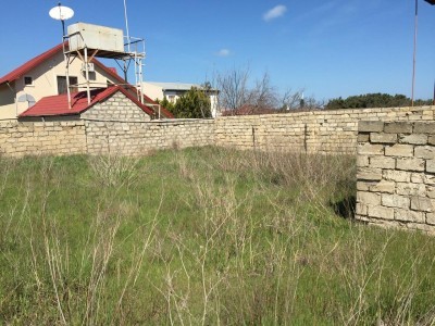 image 378004