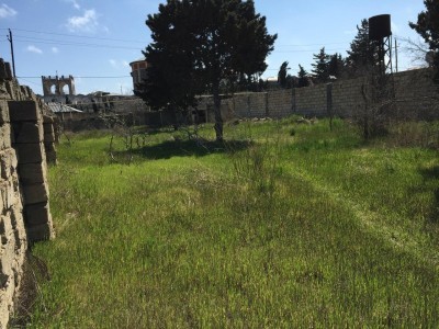 image 378004