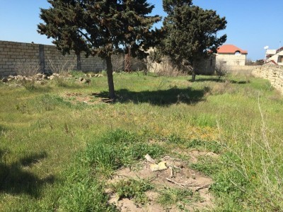 image 378004