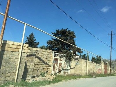image 378004