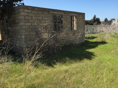image 378004
