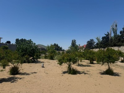 image 378007