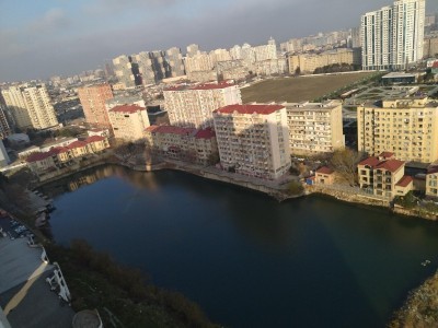 image 378009