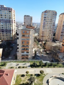 image 378010