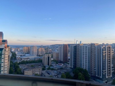 image 378012