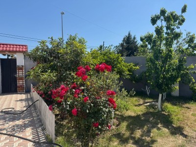 image 378020