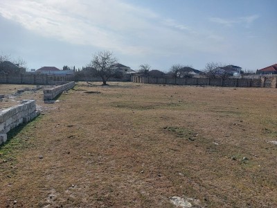 image 378022
