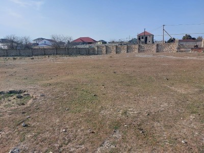 image 378022