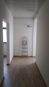 image 378025