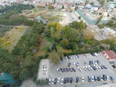 image 378029