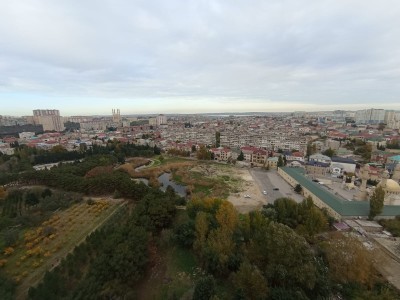 image 378029