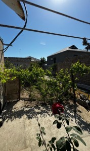image 378031