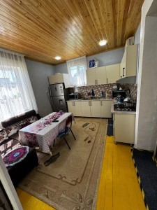 image 378031