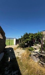 image 378031
