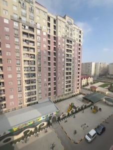 image 378048