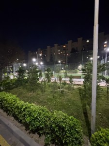 image 378062