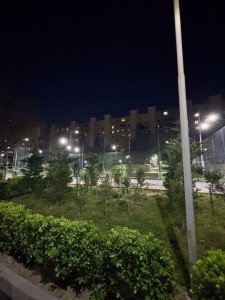 image 378062