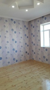 image 378071