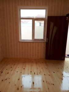 image 378077