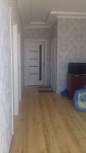 image 378078