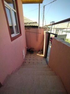 image 378089