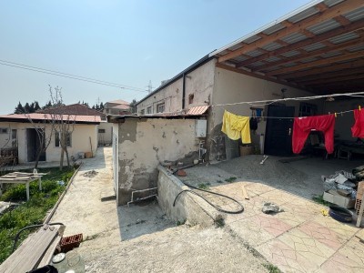 image 378117