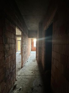 image 378120
