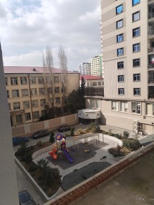 image 378130