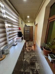 image 378137
