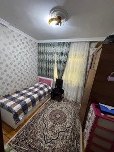 image 378137
