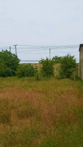 image 378161