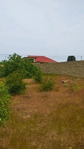image 378161